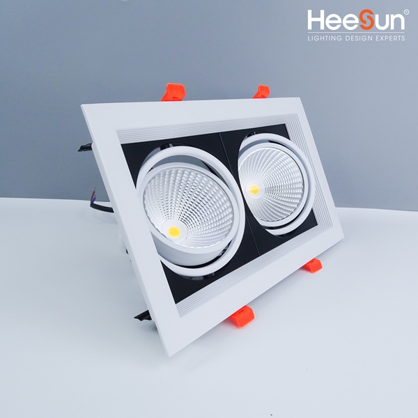 ĐÈN ÂM TRẦN DOWNLIGHT SPOT MULTIPLE 2x10W HS-DLDA-20H - Heesun Lighting | Thương hiệu đèn LED cao cấp