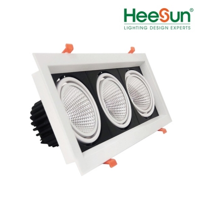 am-tran/downlight-spot-multiple-301.jpg