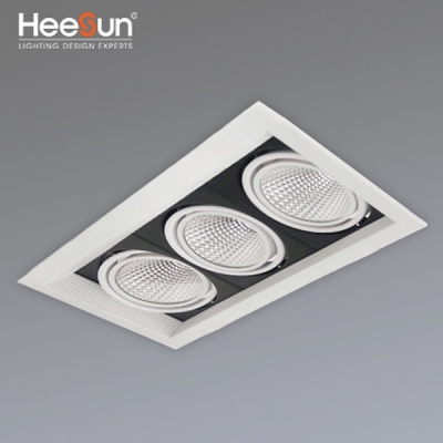 am-tran/downlight-spot-multiple-302.jpg