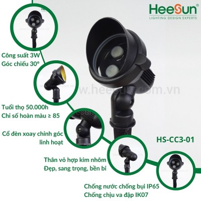 den-cam-co/den-cam-co-hs-cc3-01-7new.jpg